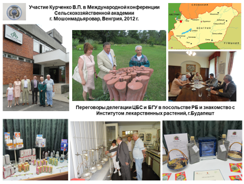 Участие Курченко В.П. в международной конференции в Мошонмадьяроваре, Венгрия, 2012 г.; переговоры делегации ЦБС и БГУ в Будапеште